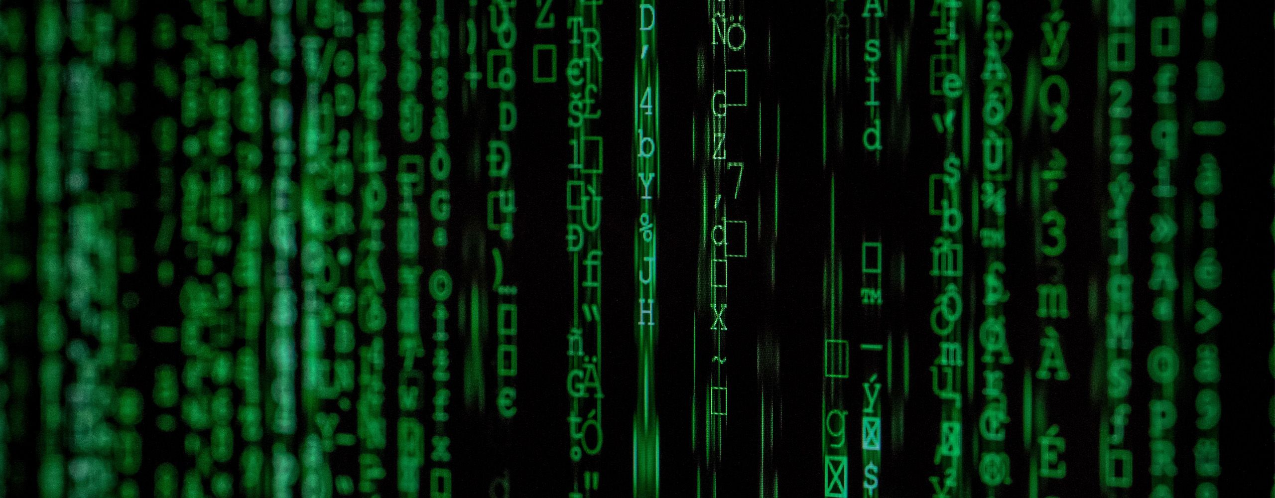 Grüne Computer-Zeichen auf schwarzem Bildschirm. Hacker. Datenschutz.