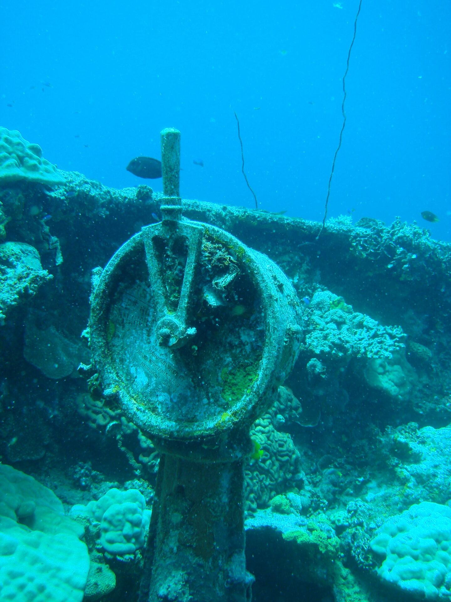 Wreck Diving Truk Lagoon.
