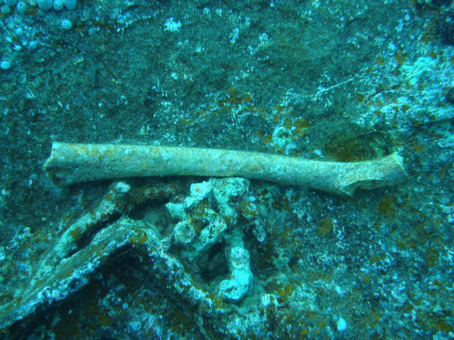 Wreck Diving. Casualities WW2. Truk Lagoon