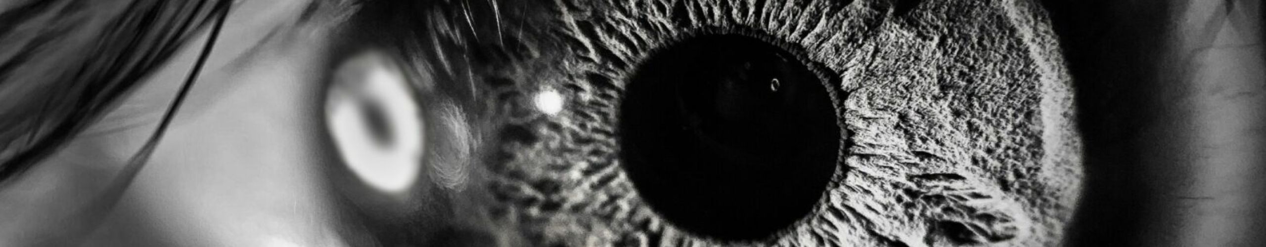 Nahaufnahme Auge. Eye Close Up. Alexander Herweg